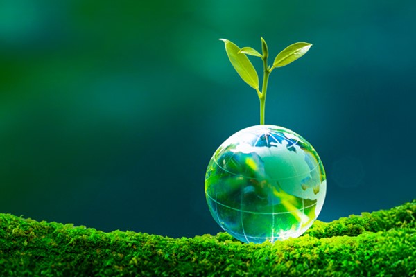 Chinacoat 特别页面